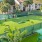 Pet Play Area