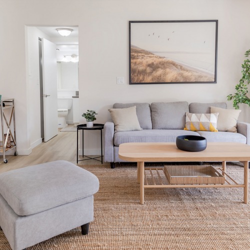 Bright Spaces bright living spaces with tons of natural lighting